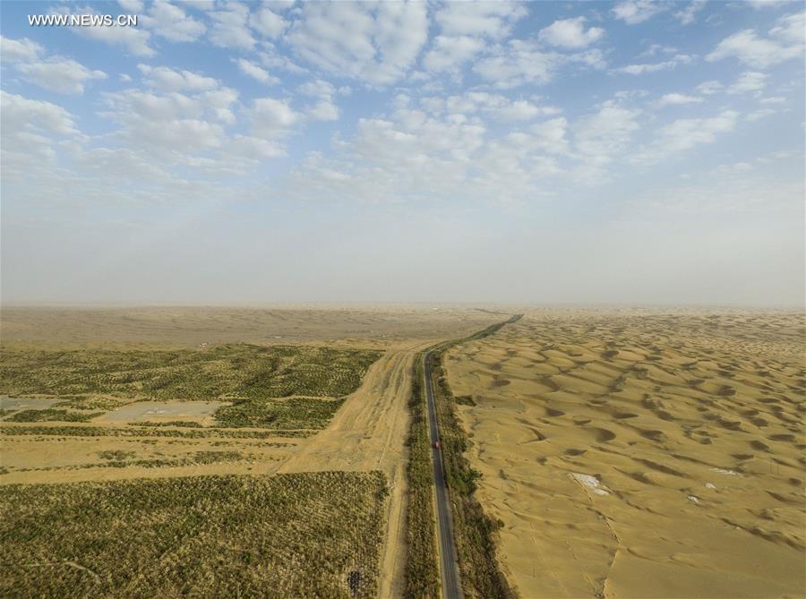 CHINA-XINJIANG-HIGHWAY-SHELTER FOREST(CN)