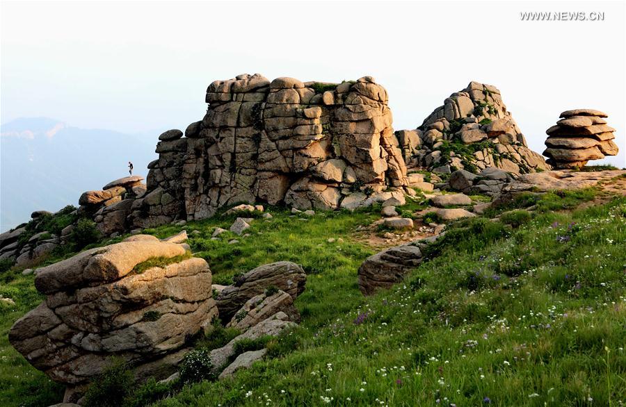 CHINA-HEBEI-STONE FIELD(CN)