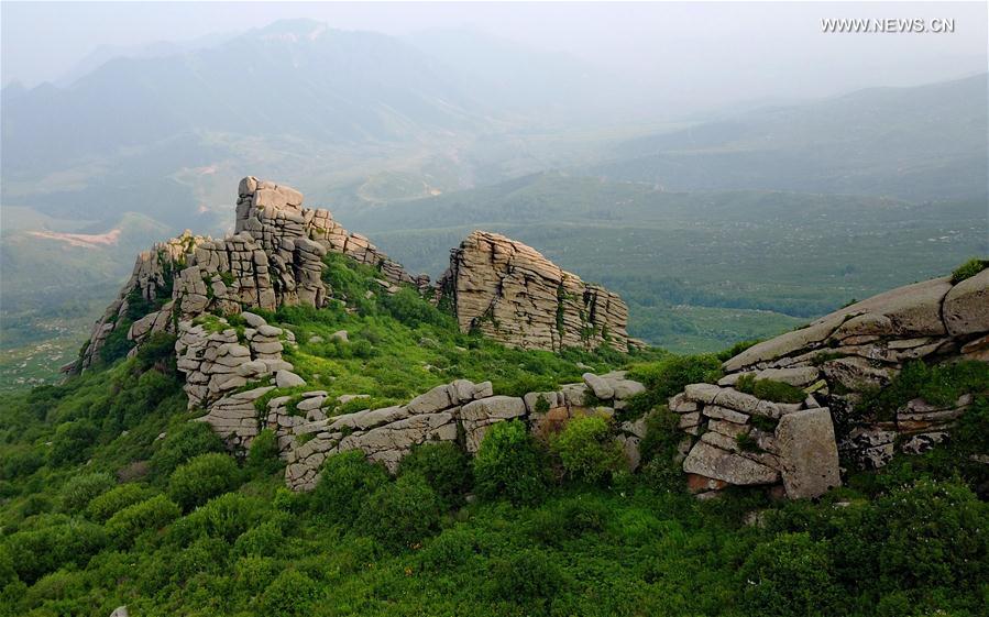 CHINA-HEBEI-STONE FIELD(CN)