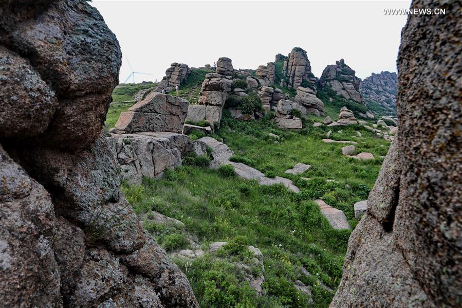 CHINA-HEBEI-STONE FIELD(CN)