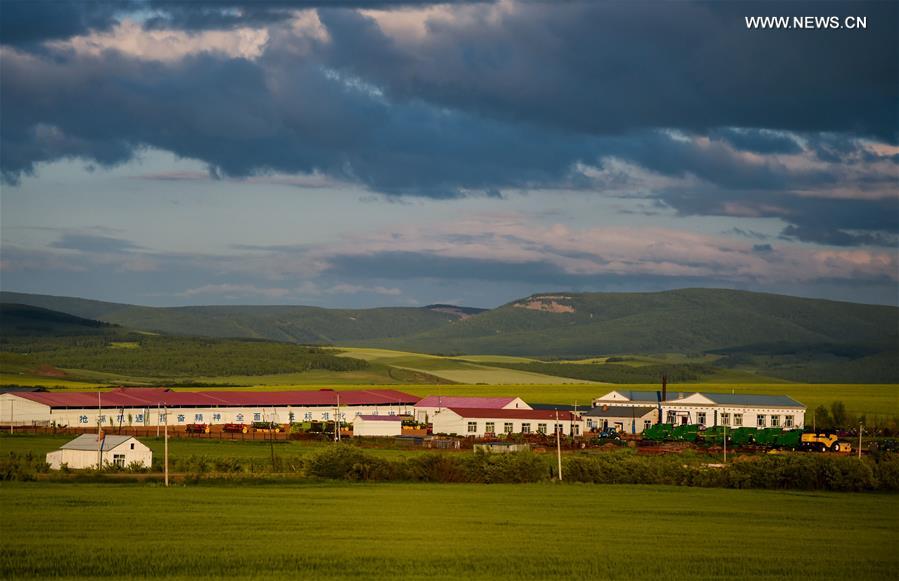 #CHINA-INNER MONGOLIA-HULUN BUIR-SCENERY (CN)