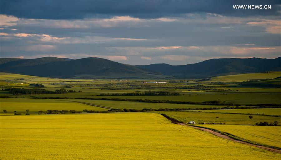 #CHINA-INNER MONGOLIA-HULUN BUIR-SCENERY (CN)