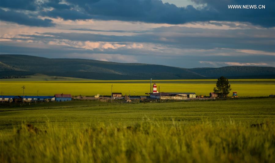 #CHINA-INNER MONGOLIA-HULUN BUIR-SCENERY (CN)