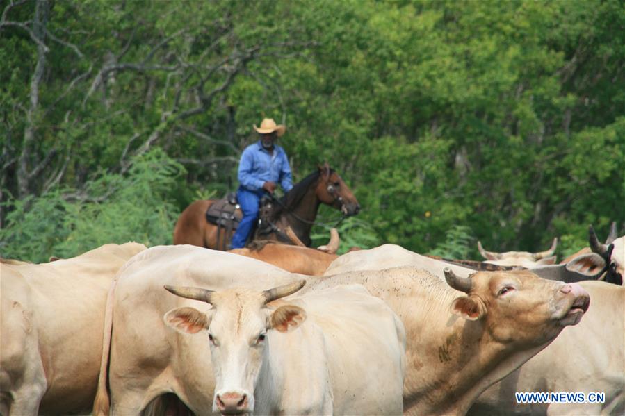 U.S.-HITCHCOCK-BEEF-CHINA-EXPORTS-RENEWAL