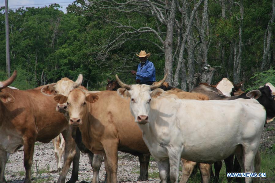 U.S.-HITCHCOCK-BEEF-CHINA-EXPORTS-RENEWAL