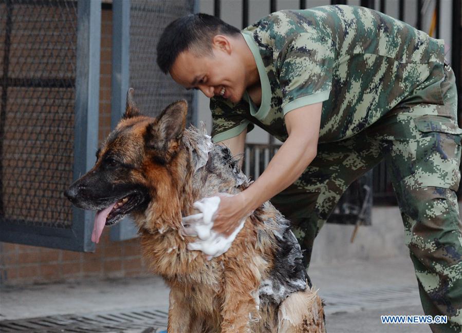 #CHINA-CHONGQING-HEAT-POLICE DOG (CN)