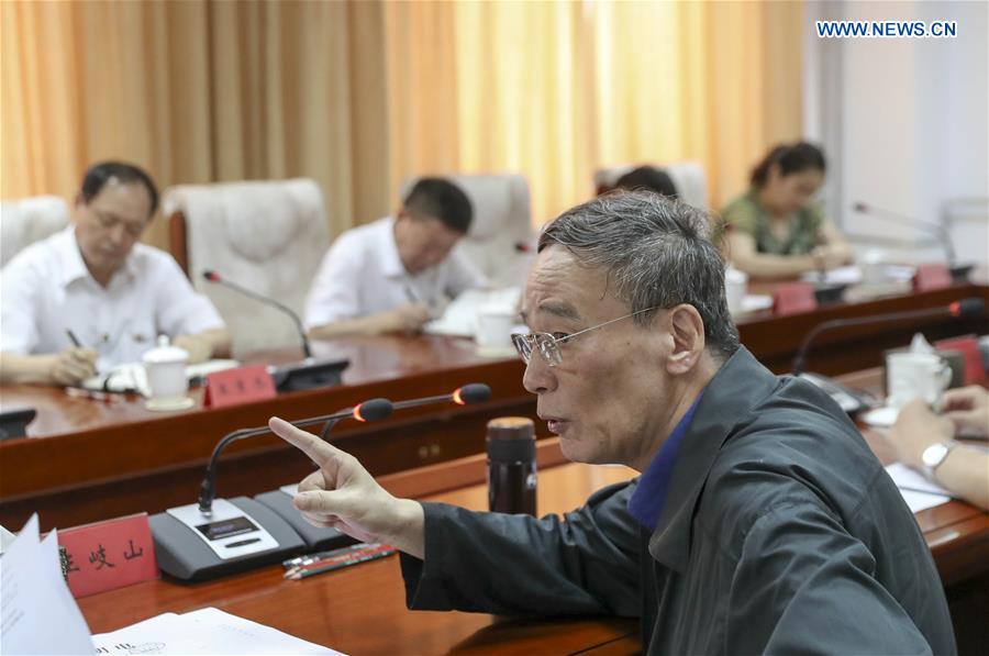 CHINA-HEBEI-WANG QISHAN-INSPECTION (CN)