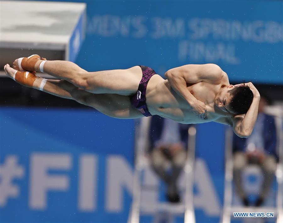 (SP)HUNGARY-BUDAPEST-DIVING-FINA WORLD CHAMPIONSHIPS-MEN'S 3M SPRINGBOARD FINAL