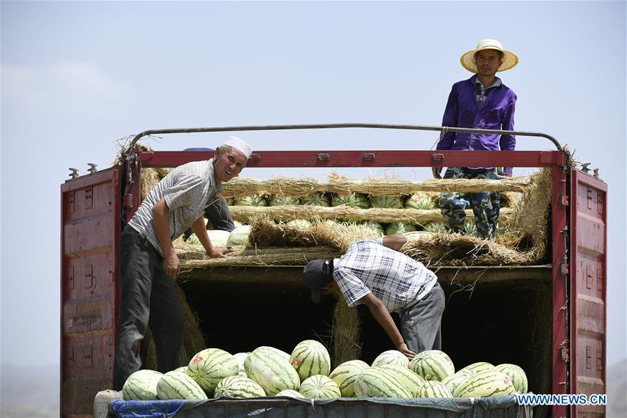 CHINA-NINGXIA-MELON(CN)