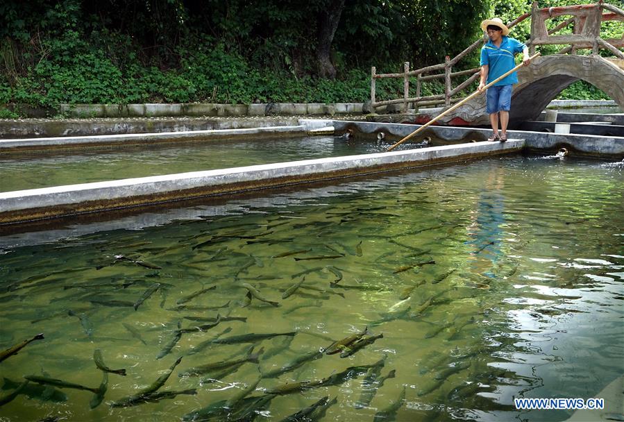 CHINA-HENAN-FISH FARMING(CN)