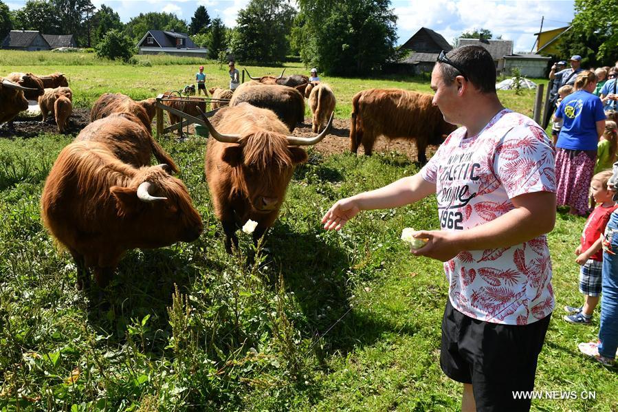 ESTONIA-MAETAGUSE-OPEN FARM DAY