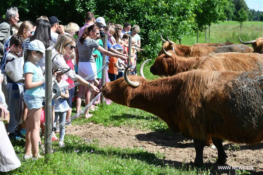 ESTONIA-MAETAGUSE-OPEN FARM DAY