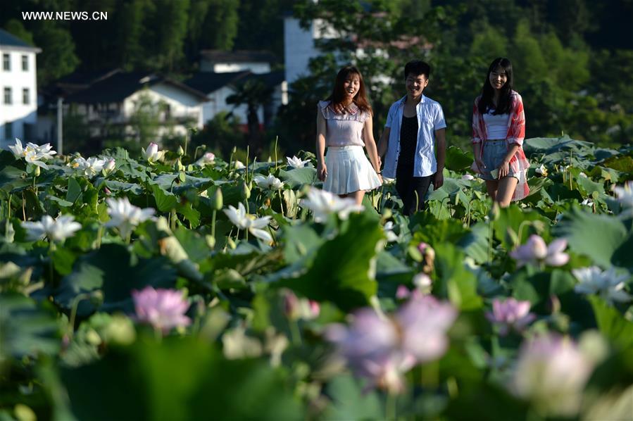 CHINA-JIANGXI-GANZHOU-LOTUS FLOWER(CN)
