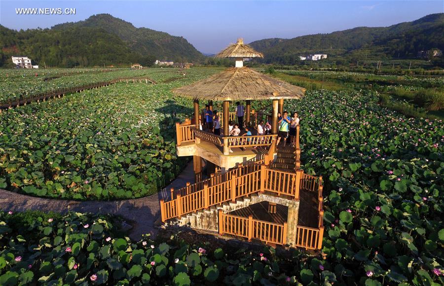 CHINA-JIANGXI-GANZHOU-LOTUS FLOWER(CN)