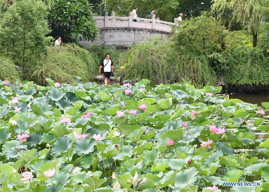 CHINA-FUZHOU-LOTUS (CN)