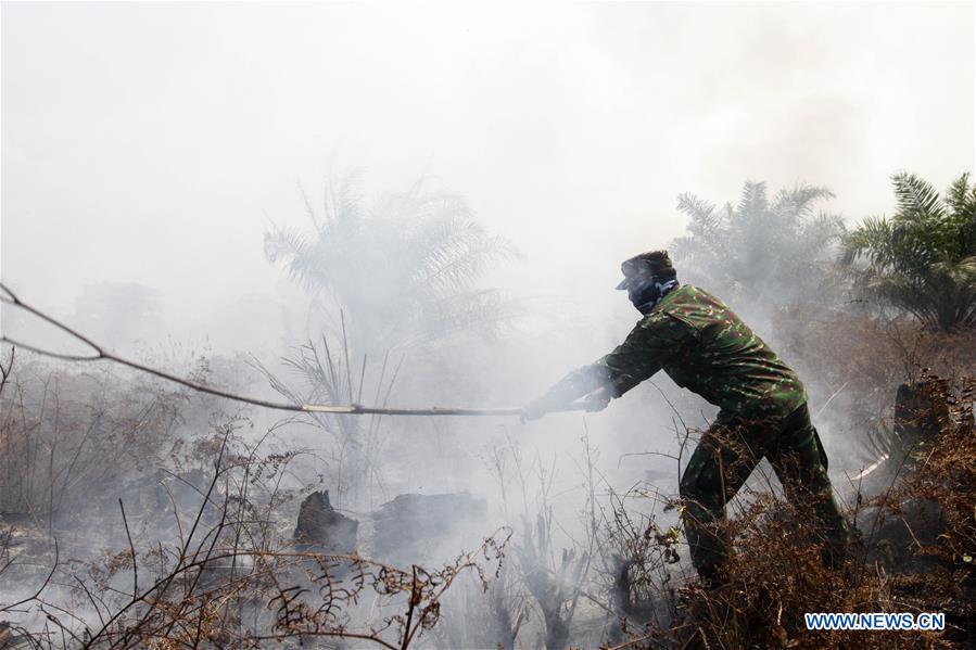 INDONESIA-ACEH-FOREST FIRE