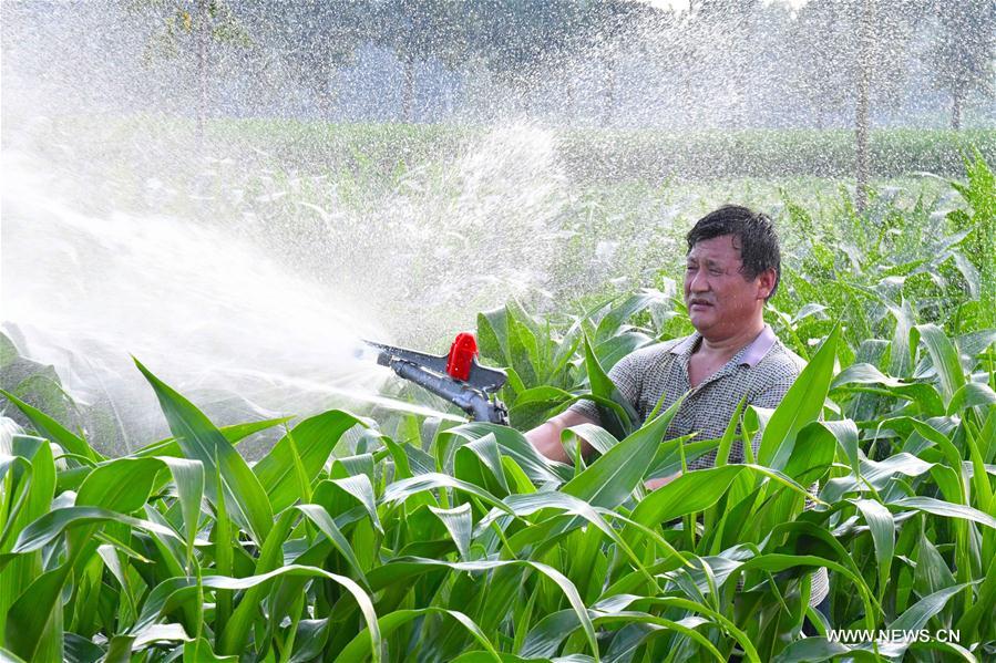 #CHINA-HEAT-DROUGHT (CN)