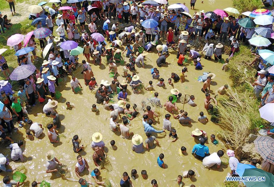 #CHINA-GUIZHOU-FISH-CATCHING ACTIVITY (CN)