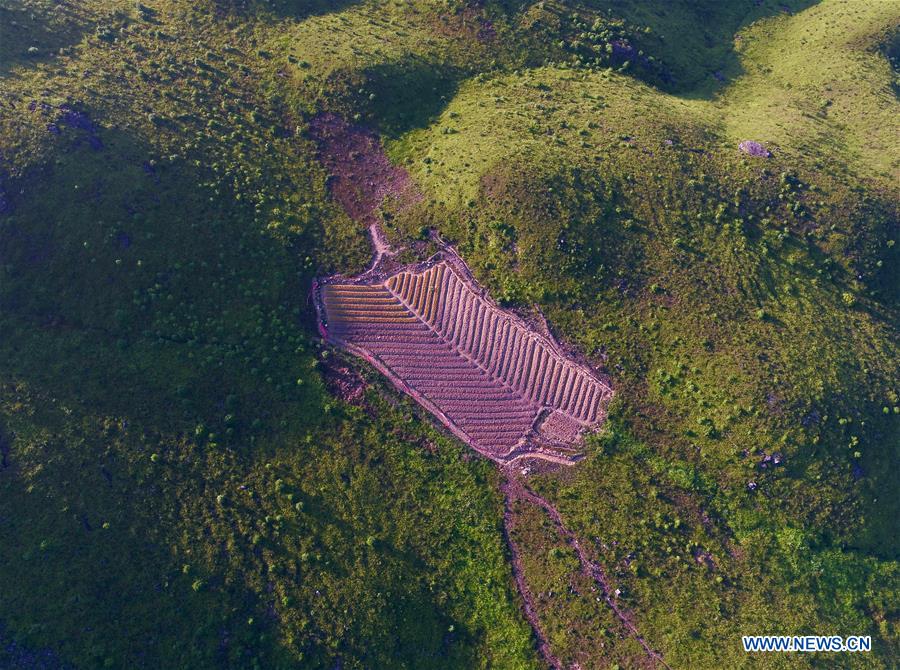 CHINA-FUJIAN-NINGDE-ALPINE MEADOW-TOURISM (CN)
