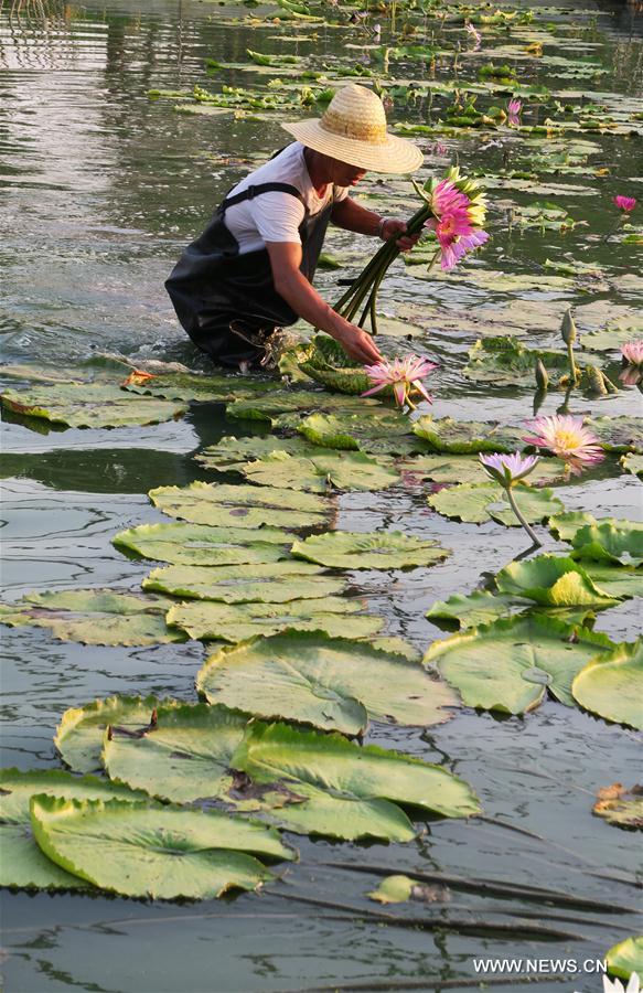 CHINA-ZHEJIANG-LOTUS INDUSTRY(CN)