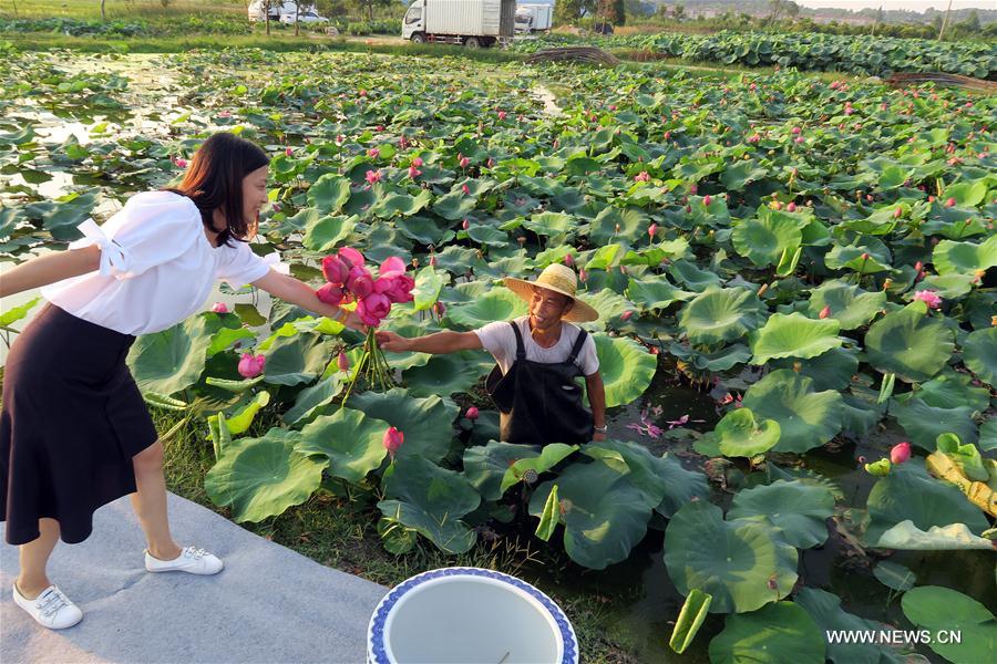 CHINA-ZHEJIANG-LOTUS INDUSTRY(CN)