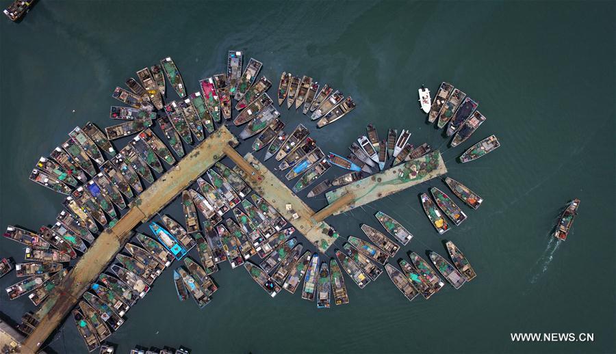 #CHINA-SHANDONG-DOCK-SCENERY (CN)
