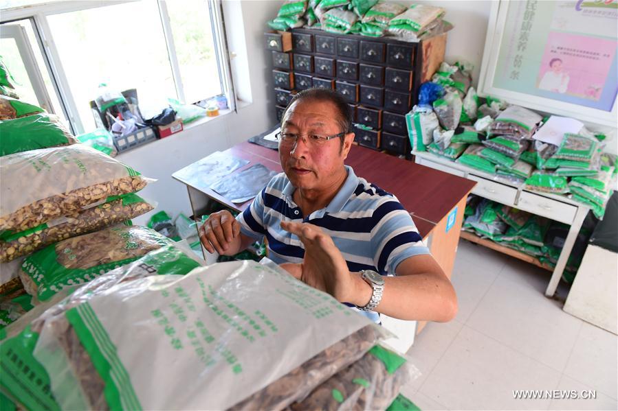 CHINA-JILIN-RURAL DOCTOR(CN)