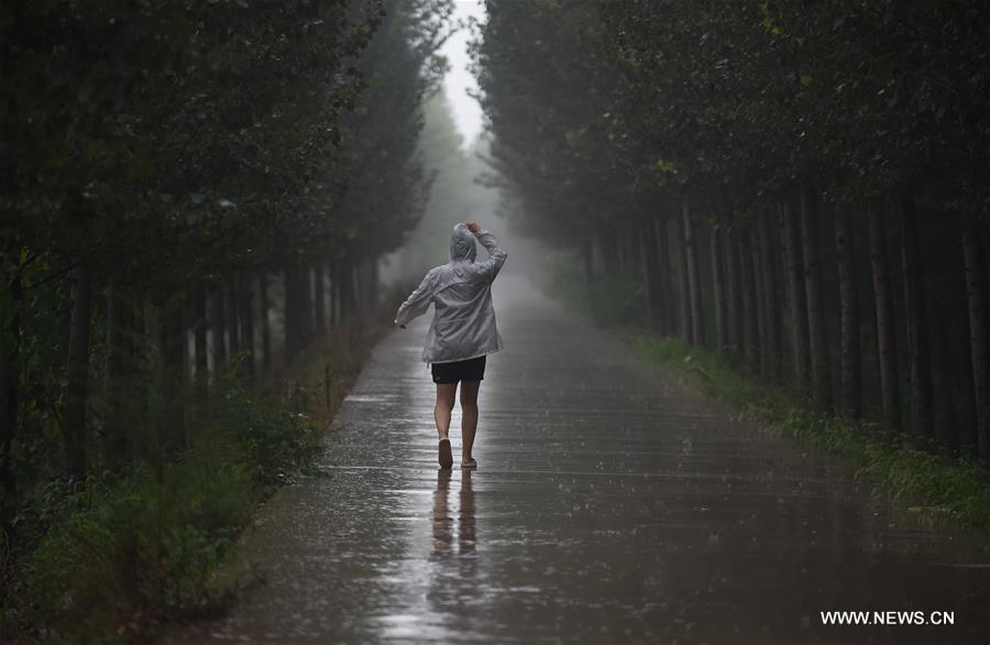 CHINA-BEIJING-RAINFALL (CN)