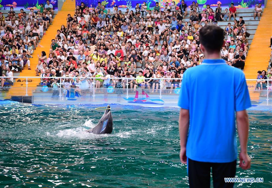 CHINA-XI'AN-DOLPHIN TRAINING (CN)