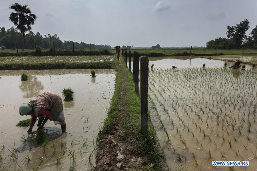 INDIA-KOLKATA-AGRICULTURE