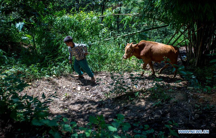 CHINA-YUNNAN-EARTHQUAKE ANNIVERSARY-BOY(CN)