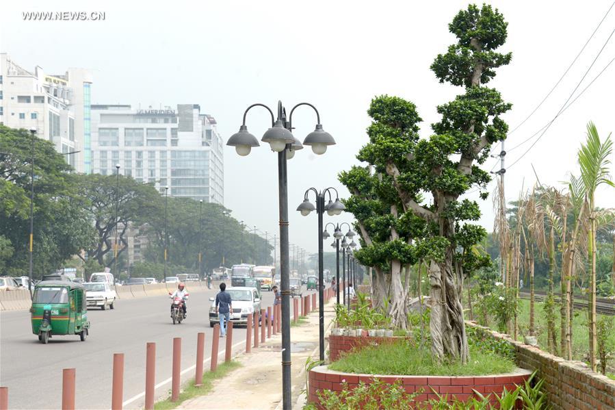 BANGLADESH-DHAKA-CHINESE-BONSAI