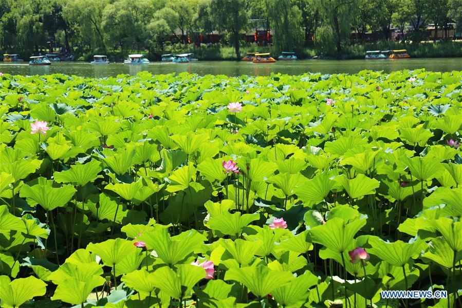 #CHINA-HEBEI-CHENGDE MOUNTAIN RESORT(CN)