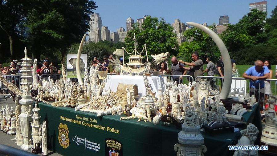 U.S.-NEW YORK-IVORY ARTIFACTS-DESTROYING