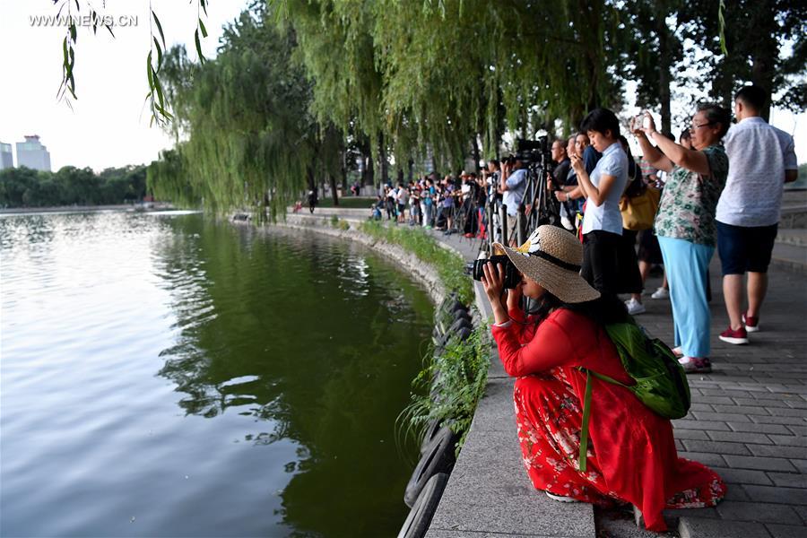 CHINA-BEIJING-BEGINNING OF AUTUMN (CN)