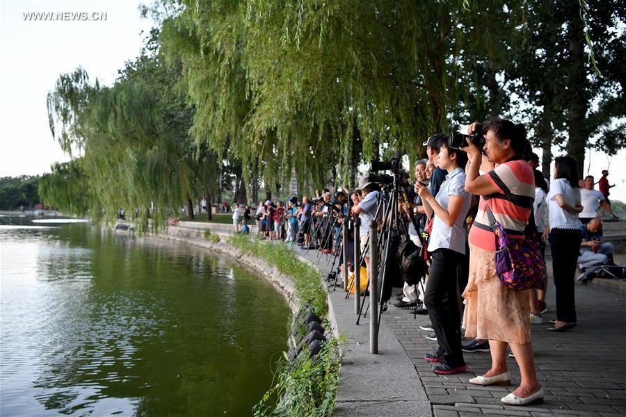 CHINA-BEIJING-BEGINNING OF AUTUMN (CN)