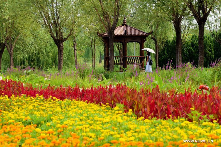 CHINA-HEBEI-HENGSHUI-SCENERY(CN)