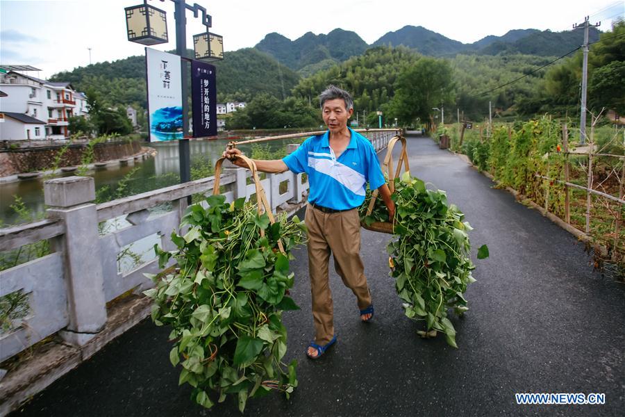 CHINA-ZHEJIANG-CHUN'AN-ENVIRONMENT(CN)