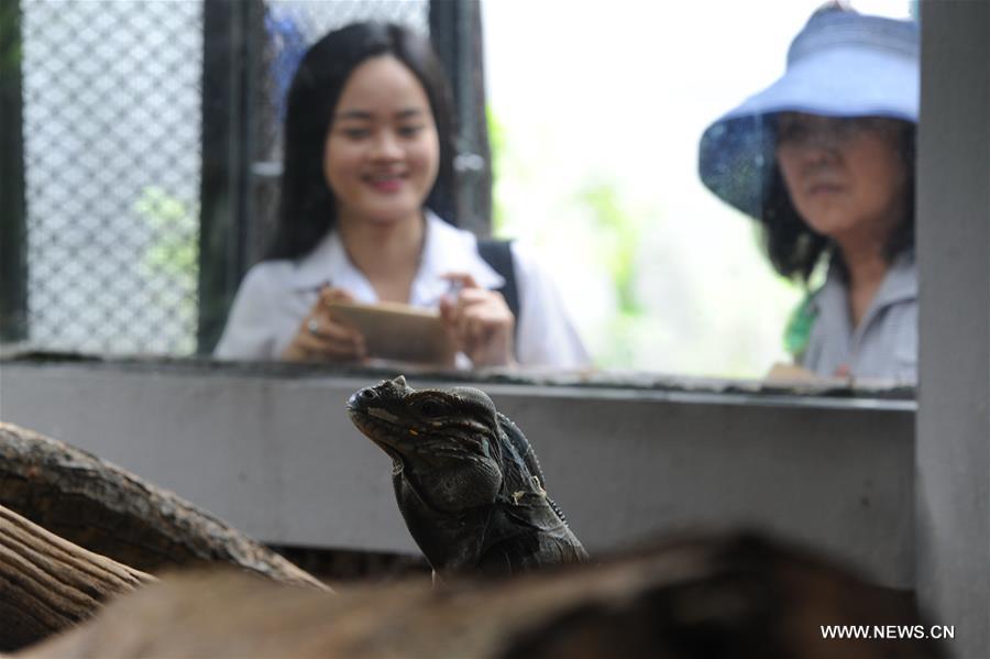 THAILAND-BANGKOK-ZOO-REPTILE