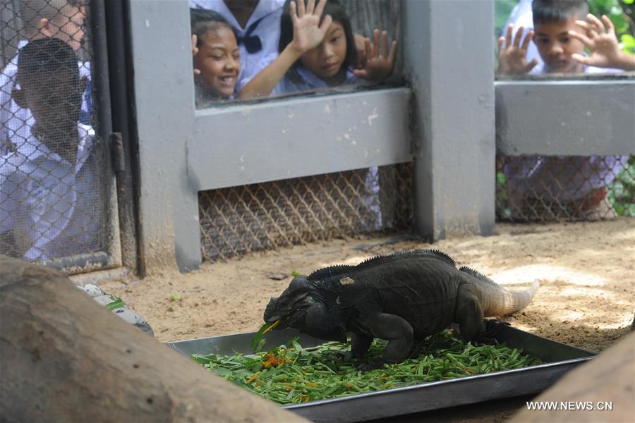 THAILAND-BANGKOK-ZOO-REPTILE