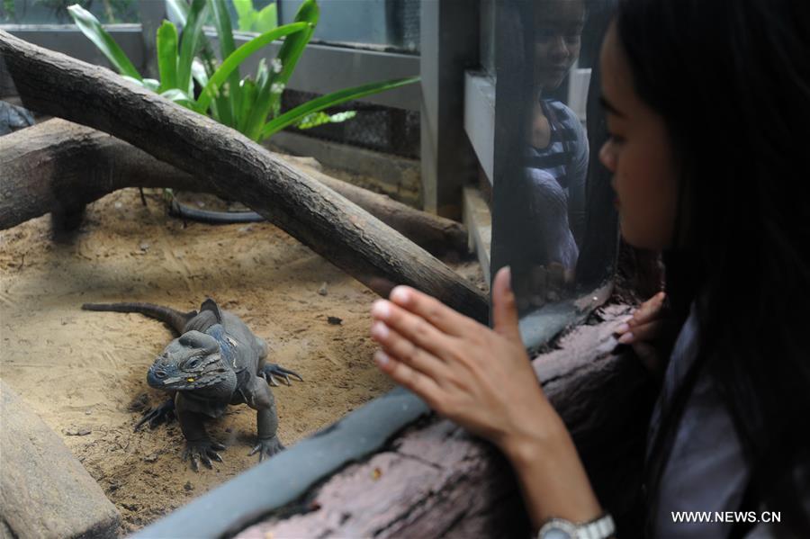 THAILAND-BANGKOK-ZOO-REPTILE
