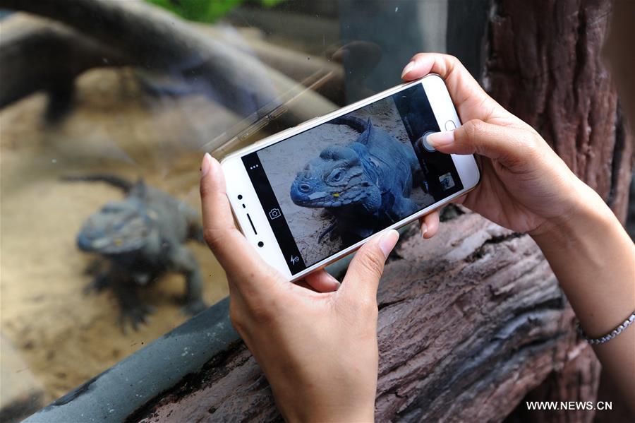 THAILAND-BANGKOK-ZOO-REPTILE