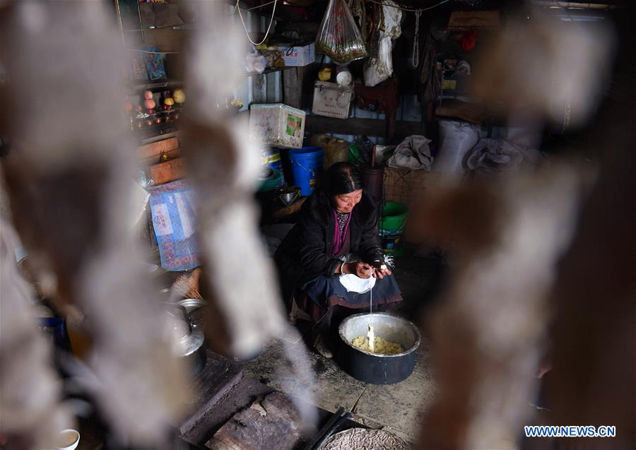 CHINA-TIBET-ECONOMY(CN)