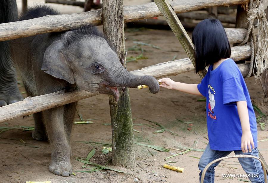 MYANMAR-BAGO-WORLD ELEPHANT DAY
