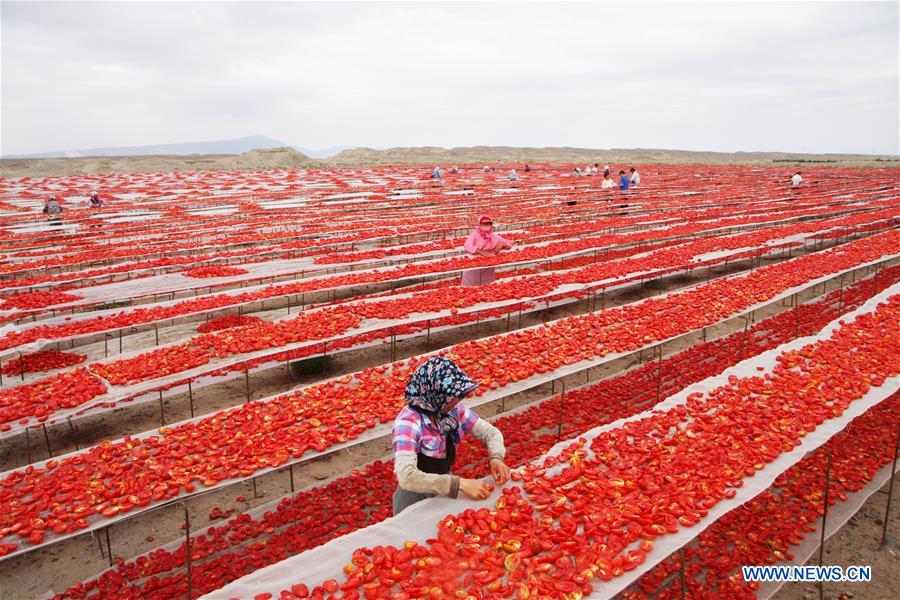 WEEKLY CHOICES OF XINHUA PHOTO