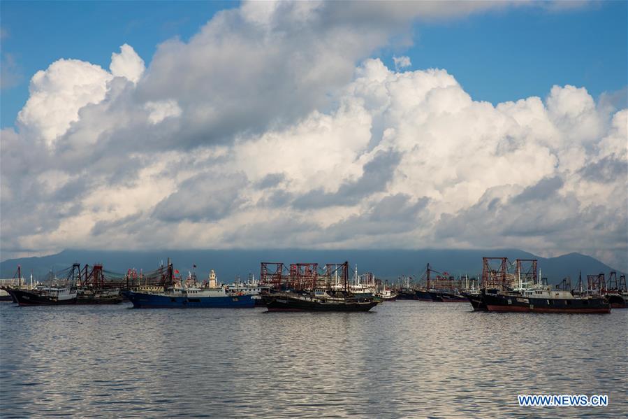 CHINA-GUANGDONG-YANGJIANG-FISHING SEASON (CN)