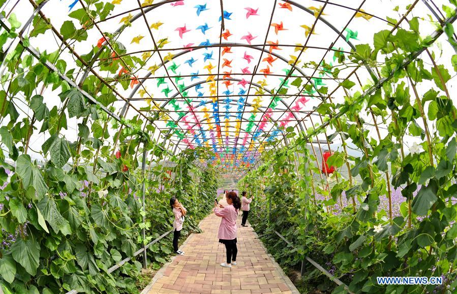 (SP)CHINA-ZHANGJIAKOU-2022 WINTER OLYMPICS-SUMMER