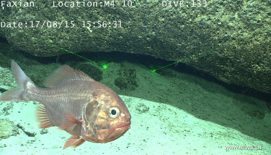WESTERN PACIFIC OCEAN-CAROLINE SEAMOUNT-CHINA-DISCOVERY