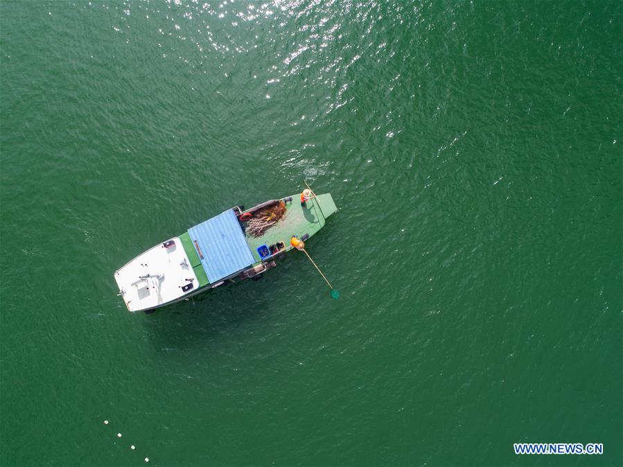 CHINA-ZHEJIANG-ENVIRONMENT-PROTECTION(CN)