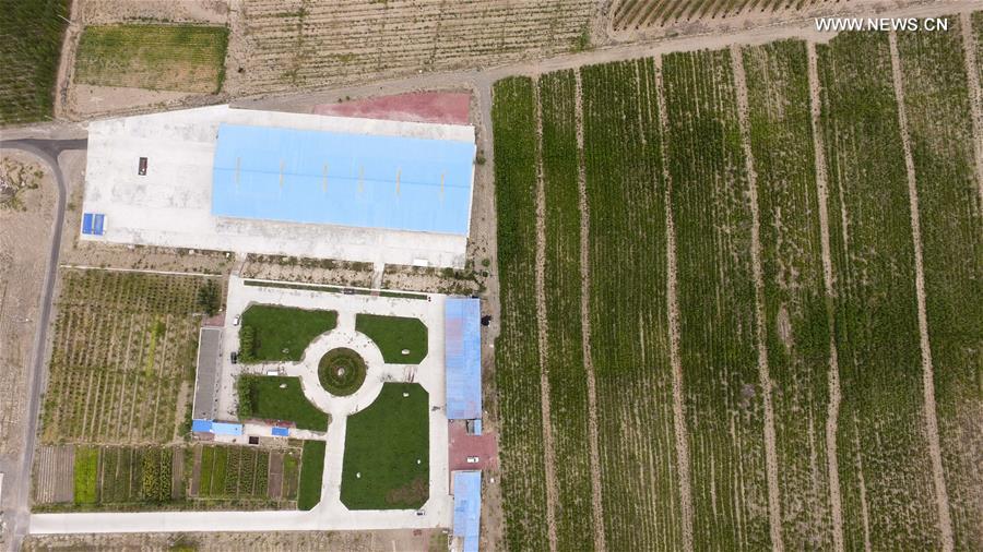 CHINA-XINJIANG-JINGHE-AGAINST DESERTIFICATION (CN)